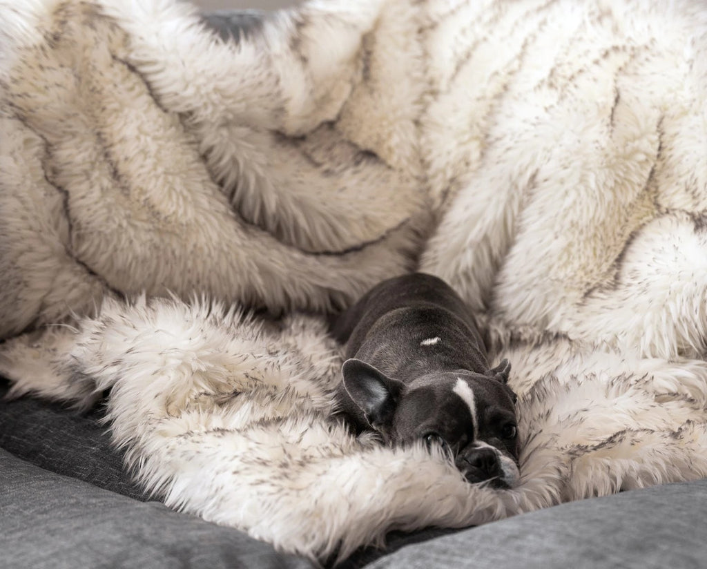 Couverture imperméable à fourrure de renard, couverture en peluche, nid pour animaux