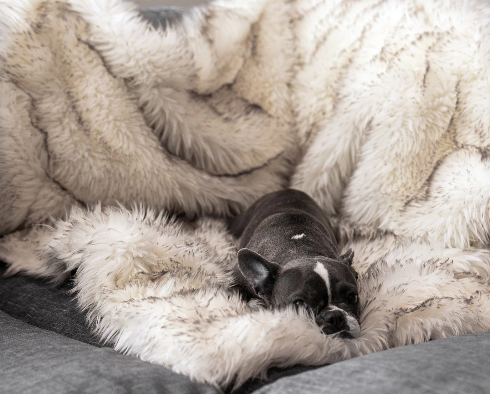 Couverture imperméable à fourrure de renard, couverture en peluche, nid pour animaux