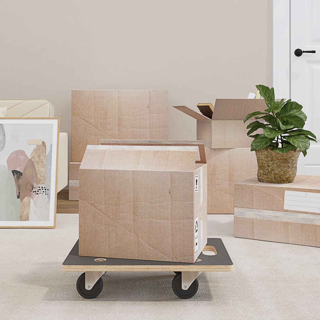 Transport Trolley 2 pcs. Rectangular 50x35x11.5 cm