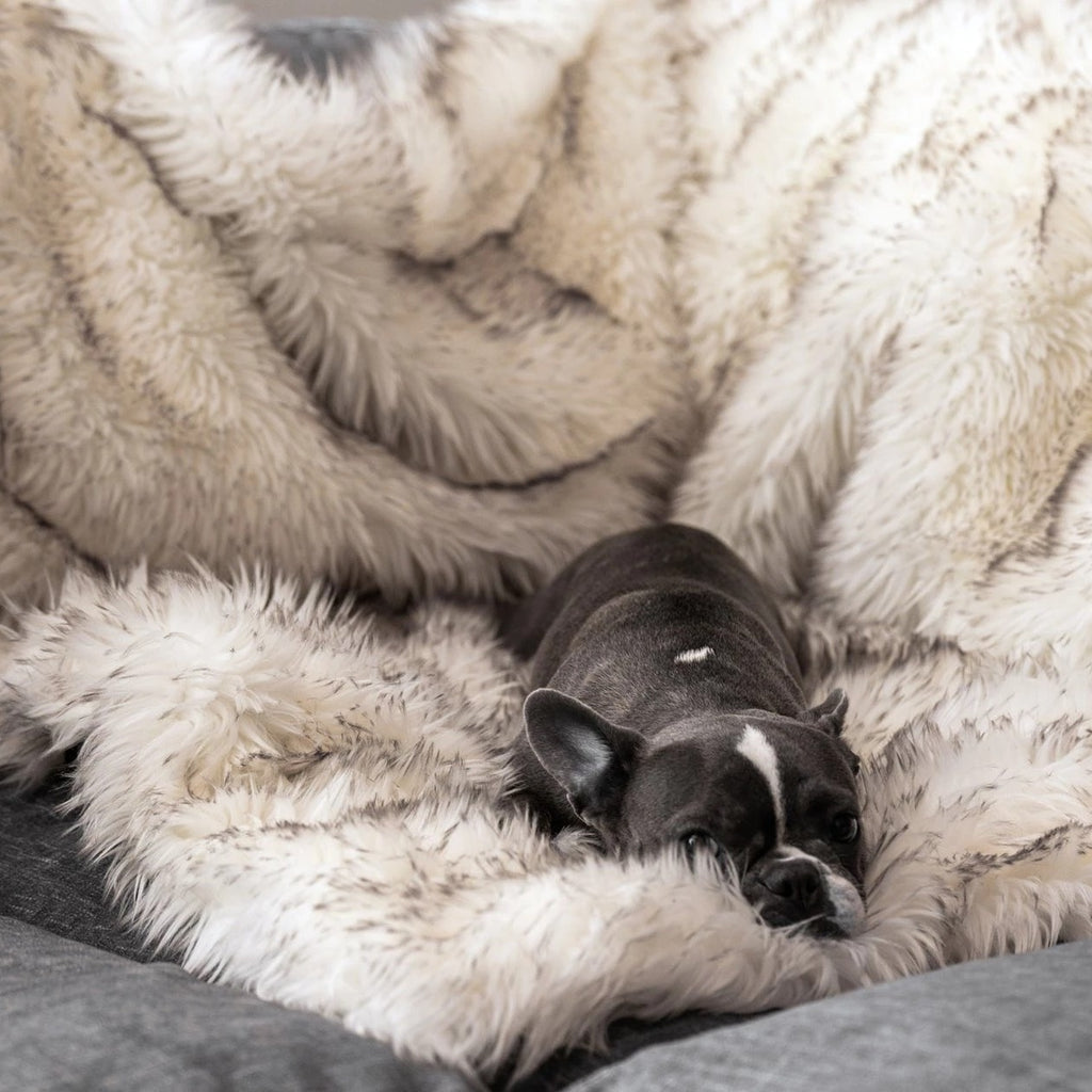 Couverture imperméable à fourrure de renard, couverture en peluche, nid pour animaux
