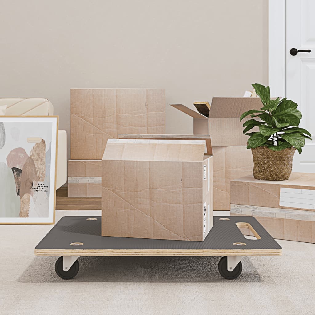 Transport Trolley 2 pcs. Rectangular 50x35x11.5 cm