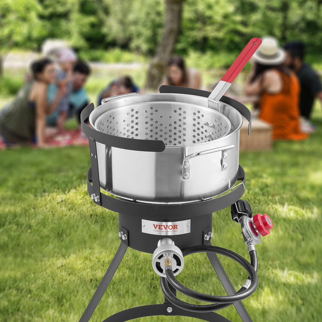 Friteuse à poisson et ailes de poulet de 10 pintes en aluminium, au propane, avec panier